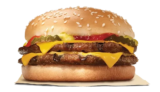 Double Cheese burger